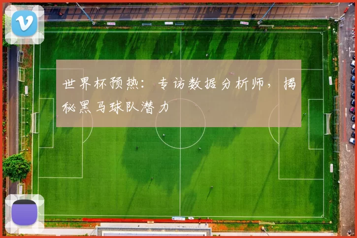 世界杯预热:专访数据分析师,揭秘黑马球队潜力
