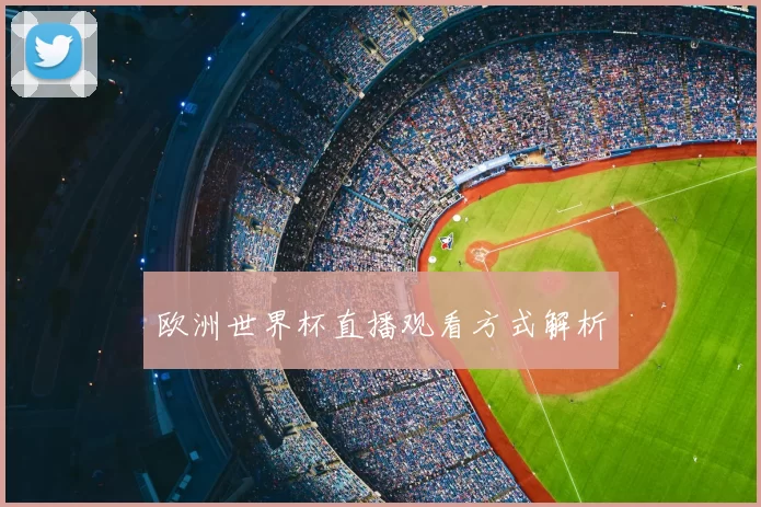 欧洲世界杯直播观看方式解析