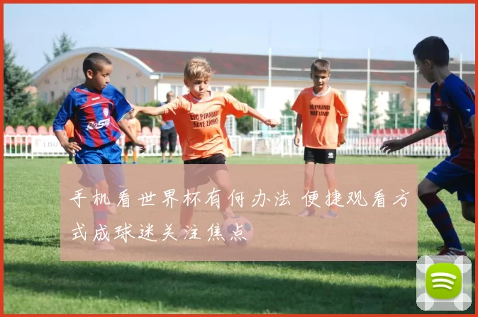手机看世界杯有何办法 便捷观看方式成球迷关注焦点
