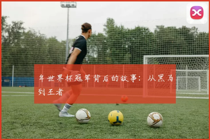 年世界杯冠军背后的故事：从黑马到王者