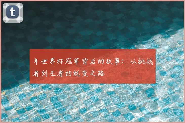 年世界杯冠军背后的故事：从挑战者到王者的蜕变之路