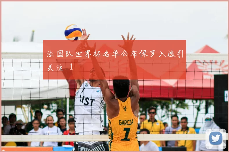 法国队世界杯名单公布保罗入选引关注_1